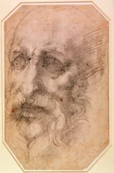Porträt eines bärtigen Mannes (schwarze Kreide auf Papier) (recto)
